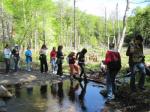 Nature Hike