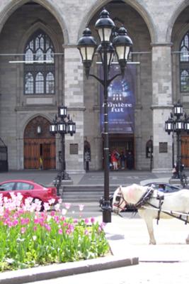 Horse and Carriage in front of Montreal church