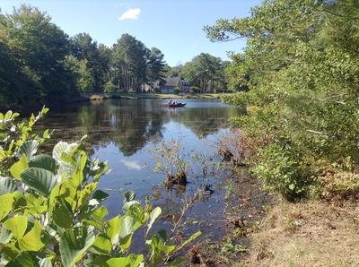 Private pond is home to heron, osprey, eagle.