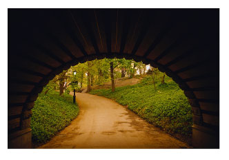 walking trail in NYC central park