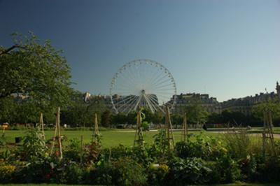 Tuileries Garden