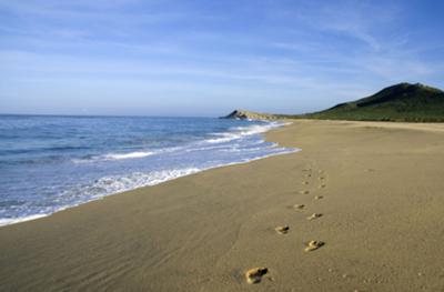 Miles of beautiful, deserted beaches