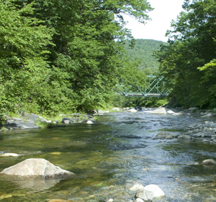 cool off in the river