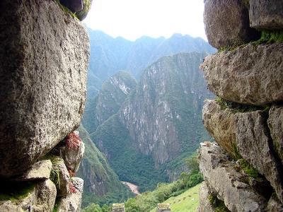 Llama at Machu Picchu