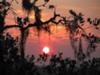 Sunset on the Salt Marsh