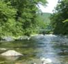 cool off in the river