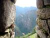 Llama at Machu Picchu