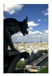 gargoyle on a building overlooking Paris, France